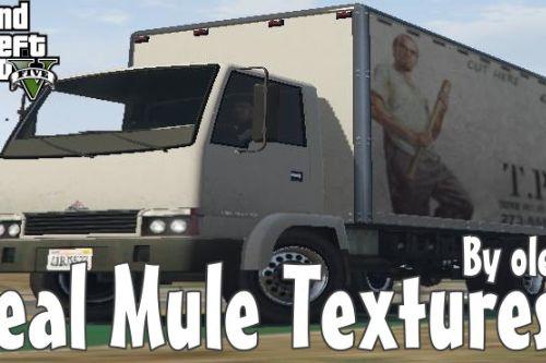 Realistic Mule Textures